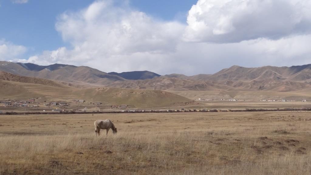 Xiahe cheval